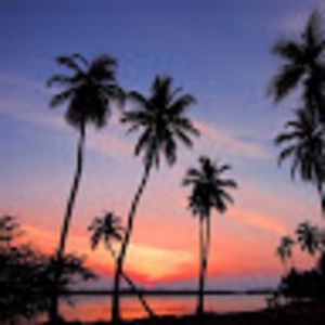 Meet your Posher, Franco